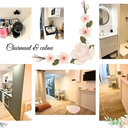Centre Luchon 公寓 Bagnères-de-Luchon